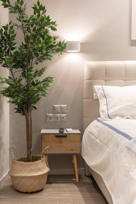 A11 Pristine & Comfy Studio Near Plaka & Parthenon أثينا المظهر الخارجي الصورة